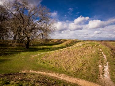 Badbury Rings in Dorset. An ancient site looked after by the Nat