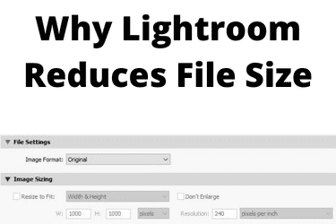 Why Your Lightroom Reduces File Size